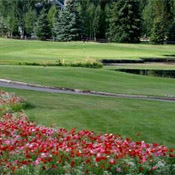 Utah Golf Course - Park Meadows Golf Club